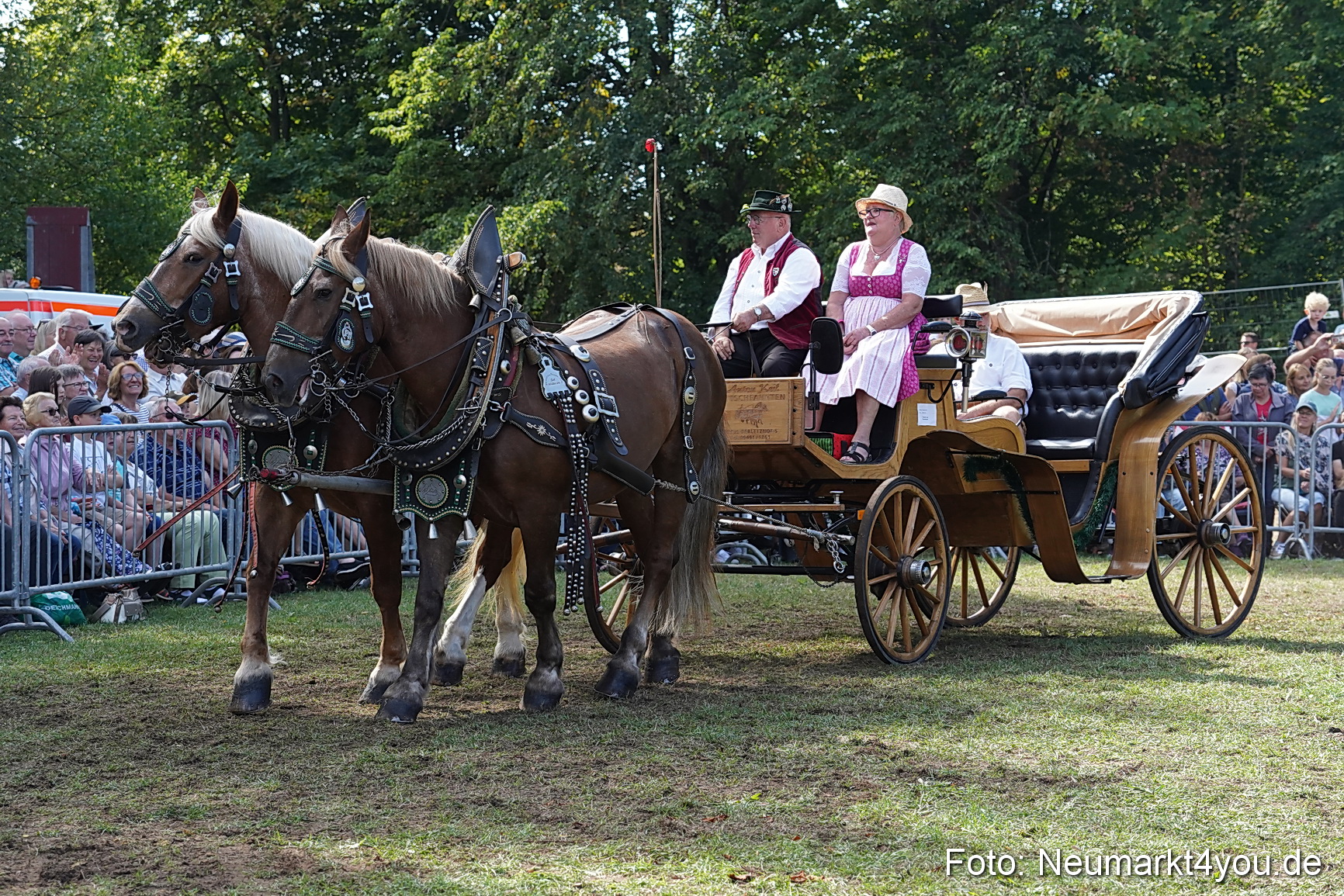 Pferde und Fohlenschau 2022 0211 